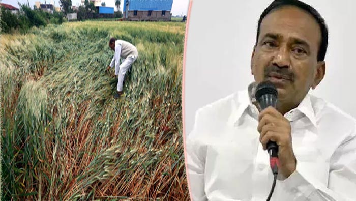 Etela Rajender: మీ నిర్లక్ష్యం వల్లే లక్షల ఎకరాల్లో పంటలు దెబ్బ తిన్నాయి