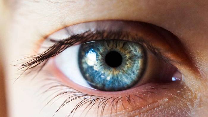 Eye