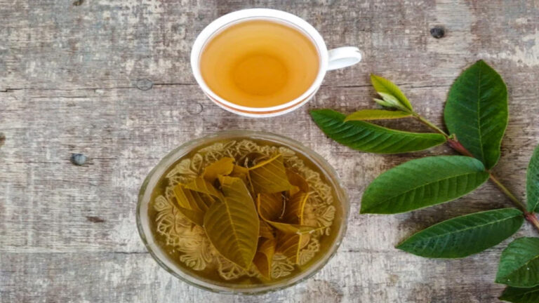 Hair Growth Tips: జామ ఆకులతో ఒక్కసారి ఇలా చేస్తే చాలు..జుట్టు ఒత్తుగా పెరుగుతుంది..