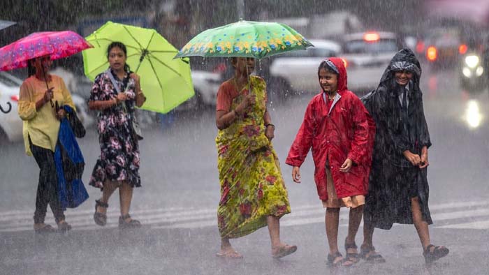 Heavy Rains