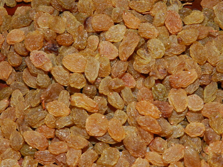 Health Tips: ఎండు డ్రాక్షతో ఎన్ని ప్రయోజనాలో.. ఆ సామార్థ్యాన్ని పెంచుతుంది..