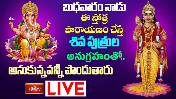 Kumara Swamy Stotram: శివ పుత్రుల అనుగ్రహం పొందాలంటే ఈ స్తోత్ర పారాయణం చేయండి
