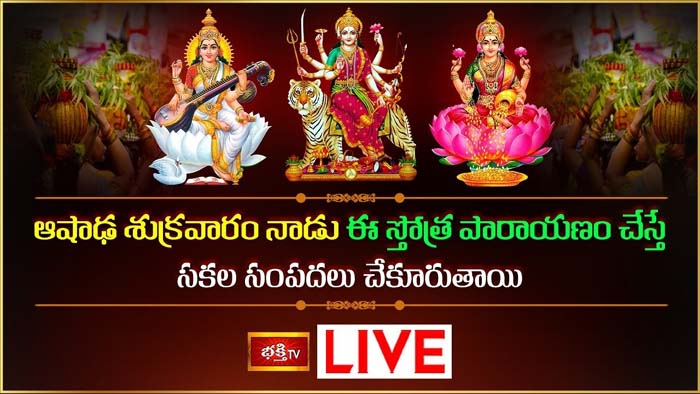 Sri lakshmi Stotram: సకల సంపదలు చేకూరాలంటే ఈ స్తోత్ర పారాయణం చేయండి