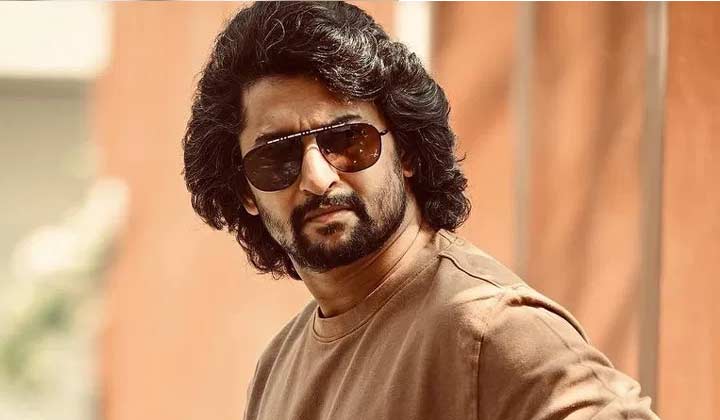 Nani: ఇకపై నాని అలాంటి సినిమాలు చేయడా?