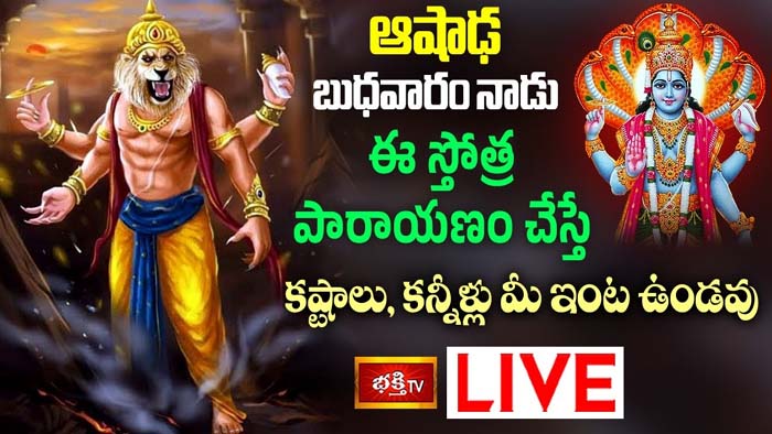 Narasimha stotram: ఆషాఢ బుధవారం ఈ పారాయణం చేస్తే కష్టాలు మీ ఇంట ఉండవు