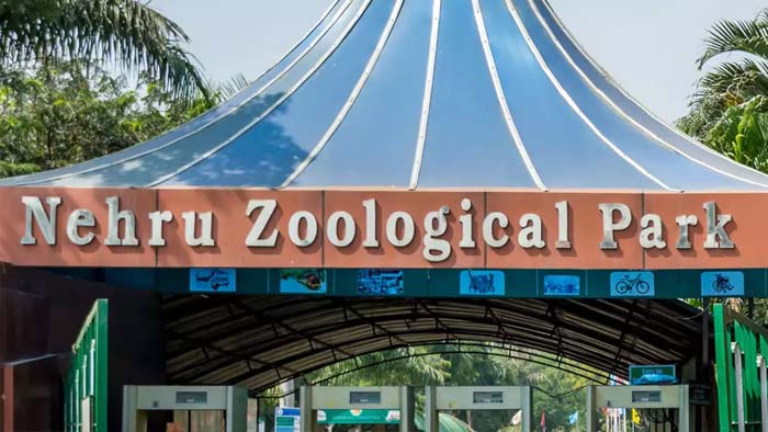 Nehru Zoopark