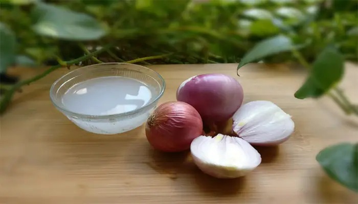 Onionjuice