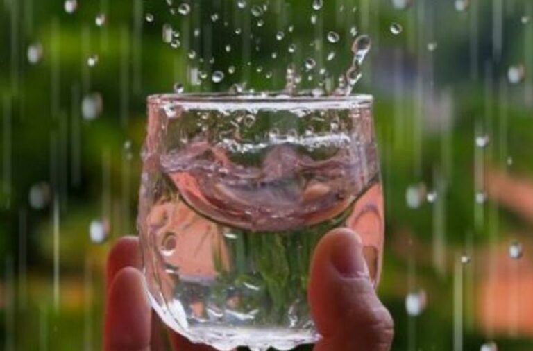 Rain Water: అప్పుల నుంచి బయట పడాలంటే ఈ నీళ్లతో ఇలా చెయ్యాల్సిందే?