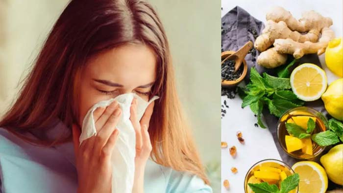 MonSoon: వర్షాకాలంలో ఆరోగ్యంగా ఉండాలంటే.. ఇవి వాడండి..!