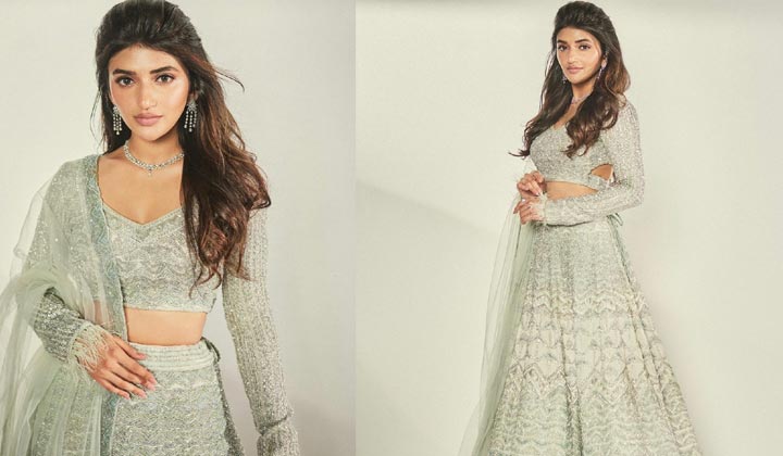 Sreeleela: ఈ అందాన్ని ఏ హీరో వదులుతాడు.. చెప్పండి