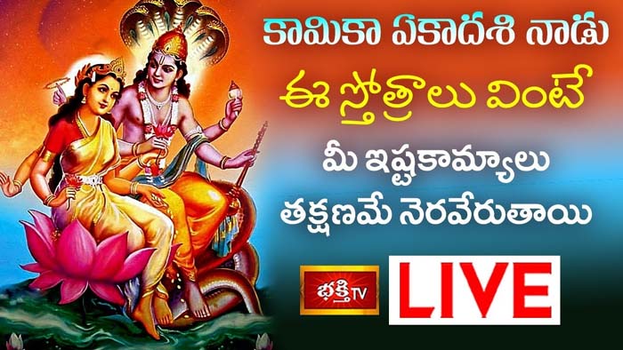 Thursday Stotram: కామికా ఏకాదశి నాడు ఈ స్తోత్రాలు వింటే మీ ఇష్టకామ్యాలు నెరవేరుతాయి