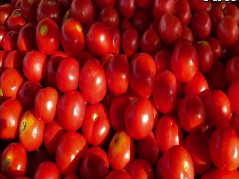 tomato rate effect: 3 టన్నుల టమాటాలు స్మగ్లింగ్..ఇలా పట్టేశారు