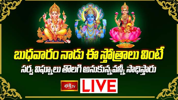 Vishnu Stotram: ఈ స్తోత్రాలు వింటే సర్వ విఘ్నాలు తొలగి అనుకున్నవన్నీ సాధిస్తారు