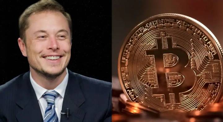 Bitcoin Price