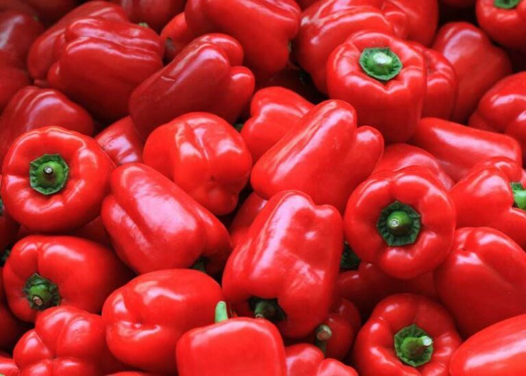 Benefits of Red Capsicum: రెడ్ క్యాప్సికం ను ఇలా తీసుకుంటే ఆ సమస్యలకు చెక్..