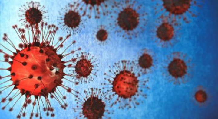 Disease X: ప్రపంచాన్ని చుట్టుముడుతున్న ‘డిసీజ్ X’.. డబ్ల్యూహెచ్‎వో హెచ్చరిక