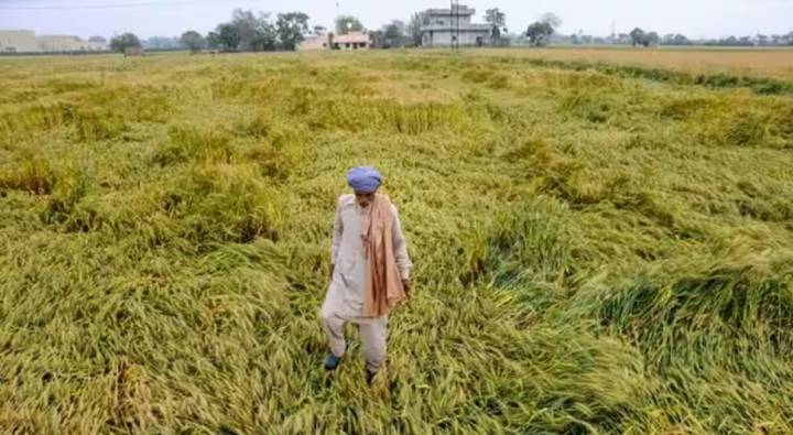 Farmers Compensation: రైతులకు గుడ్ న్యూస్.. వర్షం కారణంగా పంట నష్టపోయిన వారికి రూ.86కోట్లు విడుదల