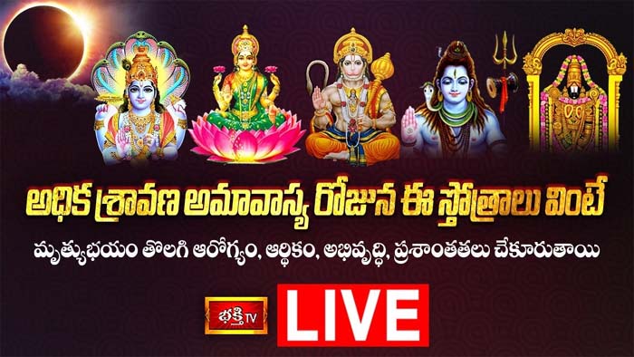 Govinda Namalu: అమావాస్య రోజున ఈ స్తోత్రాలు వింటే ఆరోగ్యంగా ఉంటారు