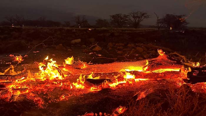 Hawaii Wildfire:  హవాయి  దీవుల్లో కార్చిచ్చు.. 36 మంది మృతి