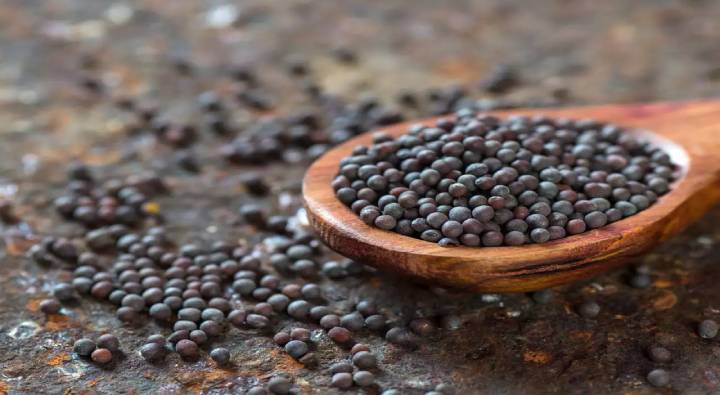 Mustard Benefits : ఆవాలతో ఎన్ని ఆరోగ్య ప్రయోజనాలు ఉన్నాయో తెలిస్తే అస్సలు వదలరు..