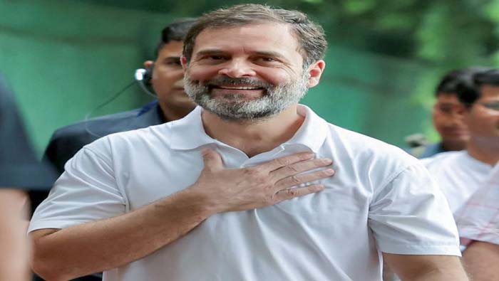 Parliamentary Standing Committee: పార్లమెంటరీ స్టాడింగ్‌ కమిటీ సభ్యుడిగా రాహుల్‌ గాంధీ