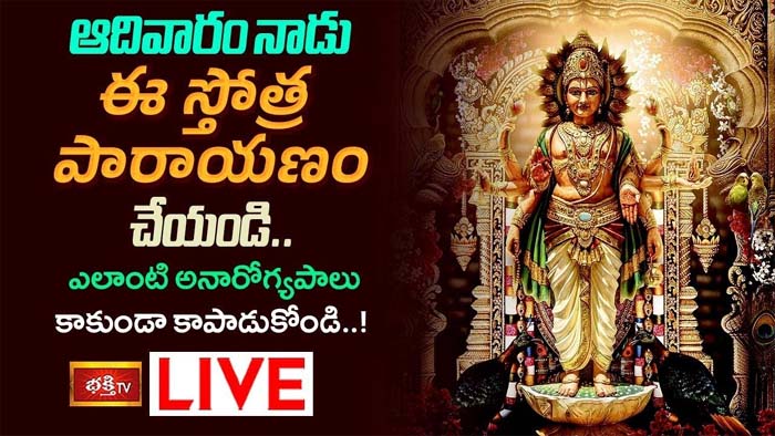 Sunday Stotram: అనారోగ్యాన్ని దూరం చేయాలంటే ఈ స్తోత్రం వినండి
