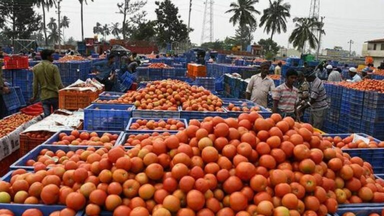 Tomato Price: భారీగా పడిపోయిన టమాటా ధర.. కిలోకు రూ.10!