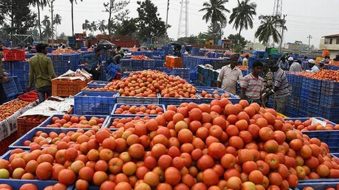 Tomato Prices Fall Down: టమాట ధర భారీగా పతనం.. అప్పుడు అలా.. ఇప్పుడిలా..