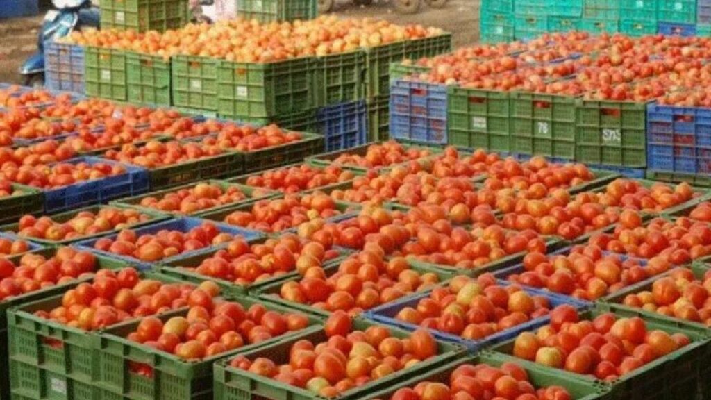 Tomatoes Lorry