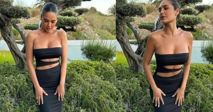 Esha Gupta : ఘాటైనా అందాలతో రెచ్చగొడుతున్న హాట్ బ్యూటీ..