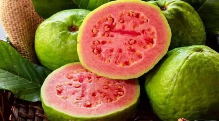 Health Tips: ఉదయాన్నే ఈ పండును తీసుకుంటే ఎన్ని ప్రయోజనాలో…