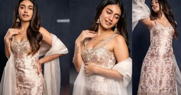 Priya Prakash varrier : అక్కడ టాటూ చూపిస్తూ స్టన్నింగ్ పోజులు ఇచ్చిన హాట్ బ్యూటీ..