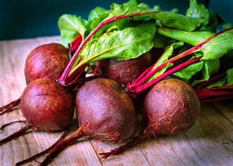 Beetroot Benefits: పరగడుపున బీట్‌రూట్ తింటే.. ఆ సమస్యలకు చెక్..