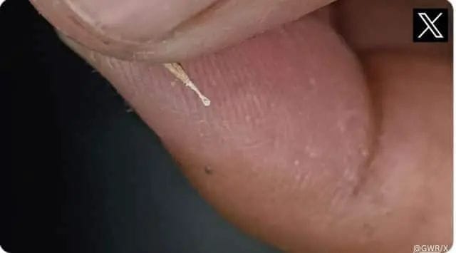 Viral News : ప్రపంచంలోనే అత్యంత చిన్న స్పూన్ ఇదే.. వాట్ ఏ క్రియేటివిటి బాసూ..