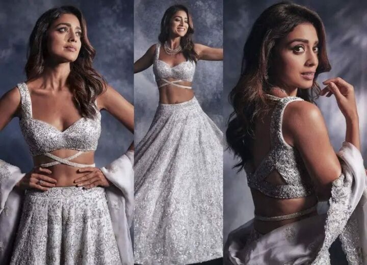 Shriya Saran : నాజూకు అందాలతో అలజడి సృష్టిస్తున్న హాట్ బ్యూటీ..