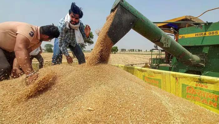 Wheat Imports:  రష్యా నుంచి గోధుమలు దిగుమతి