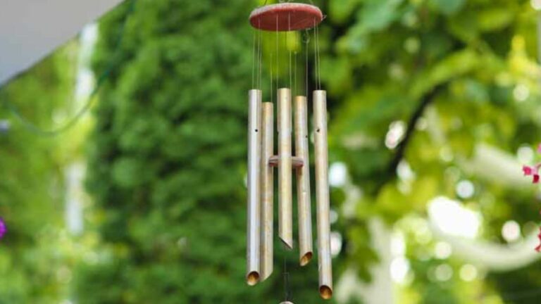 Wind Chimes at Home: ఇంట్లో ఈ దిశలో విండ్ చైమ్ ఉంటే.. 24 గంటల్లో అద్భుతం జరుగుతుంది!