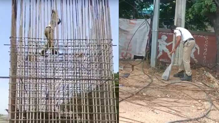 Constable Saved Cat : మానవత్వం చాటుకున్న కానిస్టేబుల్‌