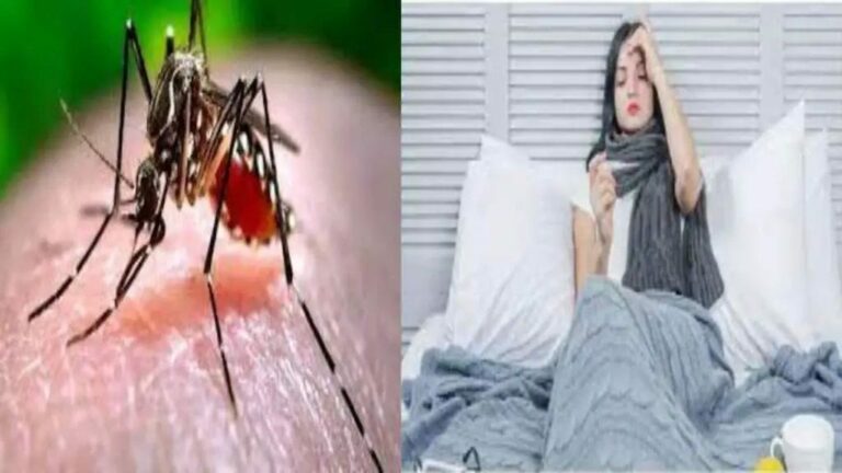 Dengue Fever : జ్వరం తగ్గాకే డెంగ్యూ వస్తుందా?.. డాక్టర్స్ ఏం చెబుతున్నారంటే?