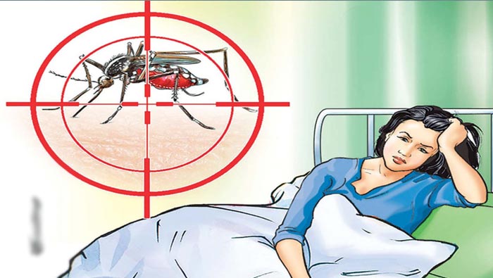 Dengue: గ్రేటర్ హైదరాబాద్ లో విజృంభిస్తున్న డెంగ్యూ.. జర ఫైలం