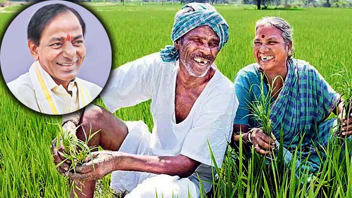 Farmers Loan: రైతులకు గుడ్‌న్యూస్ చెప్పిన సర్కార్.. నేటి నుంచే రుణమాఫీ..