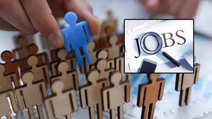 50,000 Jobs: ఉద్యోగాల జాతర.. ఈ ఏడాది 50 వేల కొత్త కొలువులు..!
