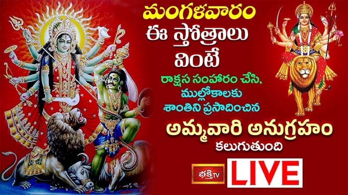 Durga Stotram: ఈ స్తోత్రాలు వింటే అమ్మవారి అనుగ్రహం కలుగుతుంది