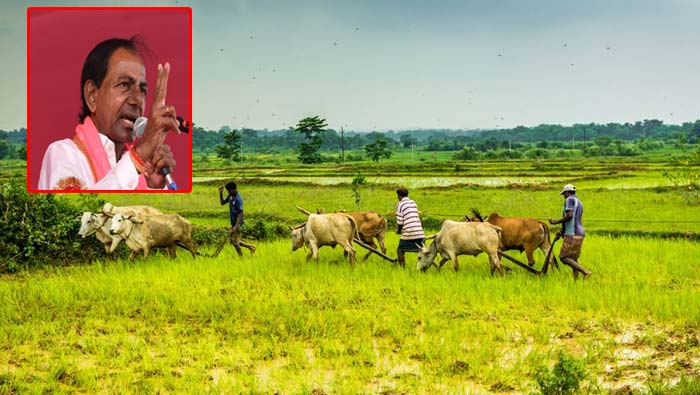 TS Govt: తెలంగాణ ప్రభుత్వం గుడ్ న్యూస్.. లక్ష లోపు రైతు రుణాలన్నీ మాఫీ