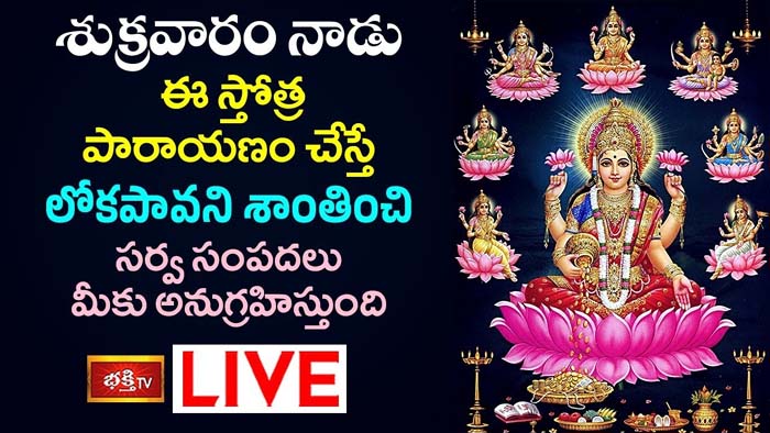 Mahalakshmi Stotram: ఈ స్తోత్ర పారాయణం చేస్తే సర్వ సంపదలు సొంతమవుతాయి