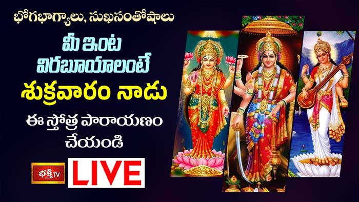 Mahalakshmi: స్తోత్ర పారాయణం చేస్తే.. మీ ఇంట భోగభాగ్యాలు, సుఖసంతోషాలు
