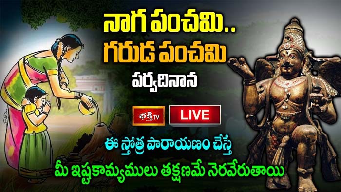 Naga Panchami: ఈ స్తోత్ర పారాయణం చేస్తే మీ ఇష్టకామ్యములు నెరవేరుతాయి