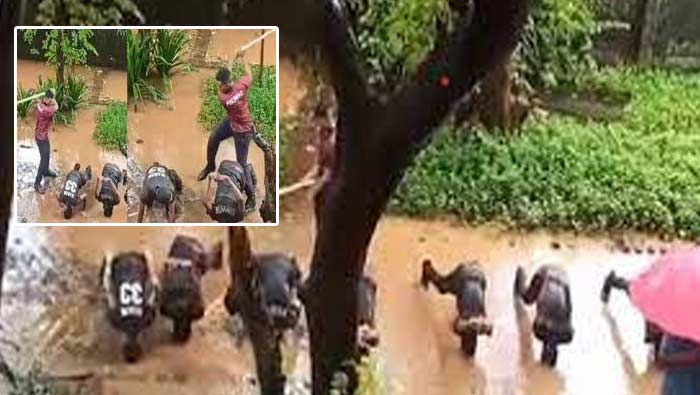 Viral: జూనియర్స్ మాటవినలేదని విచక్షణ కోల్పోయిన సీనియర్