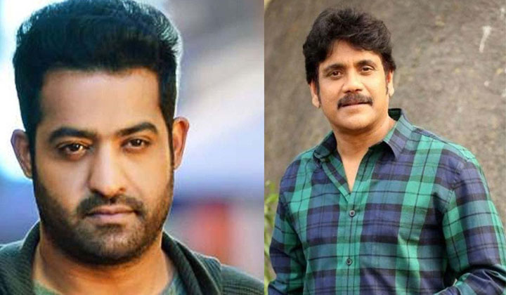 NTR Nagarjuna: హ్యాపీ బర్త్ డే బాబాయ్… ఇది కదా నందమురి అక్కినేని ఫ్యాన్స్ బాండింగ్