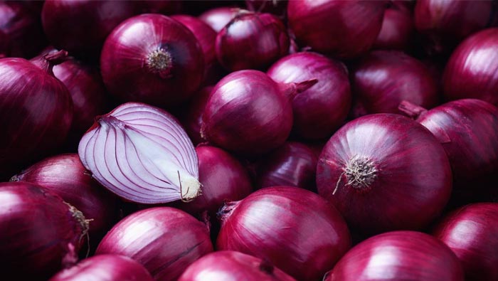 Onions: 4 నెలలు ఉల్లి తినకుంటే పోయేదేం లేదు.. మంత్రి హాట్ కామెంట్స్